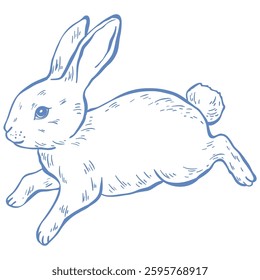 Cute Line Art Bunny. Vector Illustration.