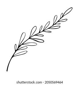 Cute line art decorative herbal element. Doodle, black and white vector illustration for festive design. Botanical, graceful handmade beauty, trend.