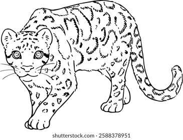 Cute line art illustration of Clouded Leopard