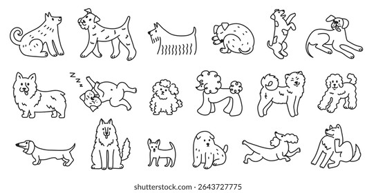 Lindos cães. Rabiscos de raça de cão, esboços lineares de filhote de cachorro desenhado à mão com poodle, husky, dachshund, terrier e outras raças para projetos de clínica veterinária ou loja de animais de estimação. Conjunto de vetores.