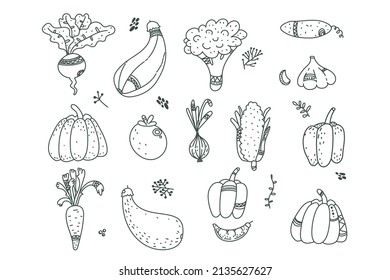Hormigón, zanahoria, ajo, cebolla, calabaza, calabaza, calabaza, remolacha, pimienta, tomate, pepino. ilustración para diseño estacional, textil, decoración infantil o tarjeta de saludo. vegano.