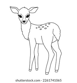 Cute line fawn. Vector outline illustration isolated on white background
