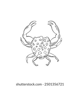 Cute line technique crab. Hand drawn  elements. Sea animals. Vector doodle cartoon set of marine life objects for your design.