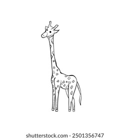 Cute line technique giraffe. Hand drawn  elements. Animals. Vector doodle  objects for your design.