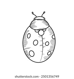 Cute line technique ladybug. Hand drawn  elements. Animals. Vector doodle objects for your design.