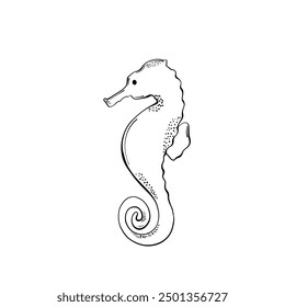 Cute line technique sea horse. Hand drawn  elements. Sea animals. Vector doodle cartoon set of marine life objects for your design.