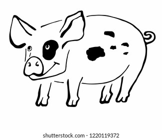 Cute linear pig, symbol of 2019 new year