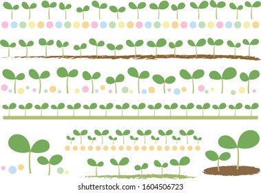 Cute lines of young leaves