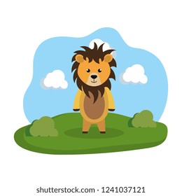 cute lion in the camp