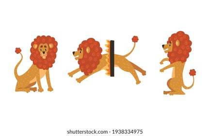Cute Lion Character Set, Funny African Animal in Various Poses Cartoon Vector Illustration