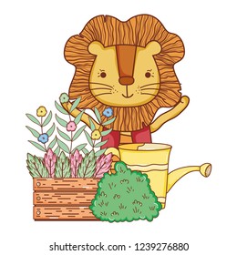 cute lion in the garden