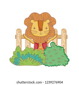 cute lion in the garden