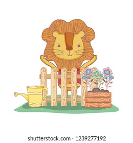 cute lion in the garden