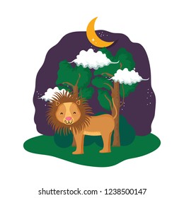 cute lion in the landscape on the night