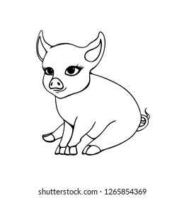 Cute litte hand drawn vector pig isolated at white background. Animal cartoon character outline.