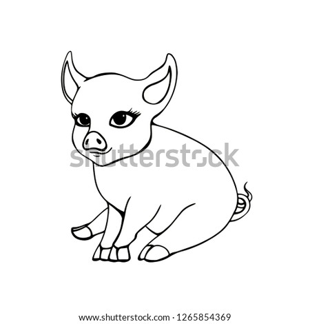 Cute litte hand drawn vector pig isolated at white background. Animal cartoon character outline.