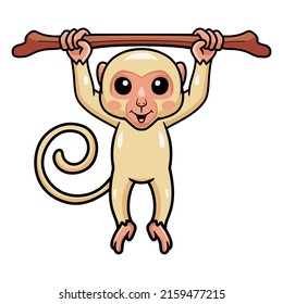 Cute little albino monkey cartoon hanging on tree branch