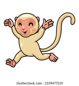 Cute little albino monkey cartoon running