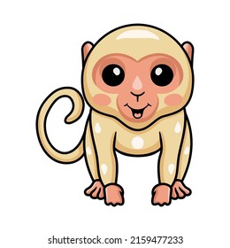 Cute little albino monkey cartoon