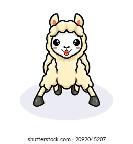 Cute little alpaca cartoon posing