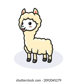 Cute little alpaca cartoon posing