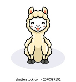 Cute little alpaca cartoon sitting