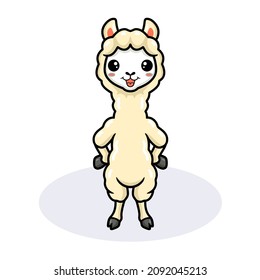 Cute little alpaca cartoon standing