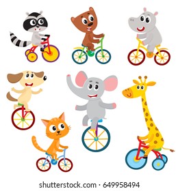 Cute Little Animal Characters Riding Unicycle, Bicycle, Tricycle, Cycling, Cartoon Vector Illustration Isolated On A White Background. Little Baby Animal Characters Riding Bikes, Bicycle