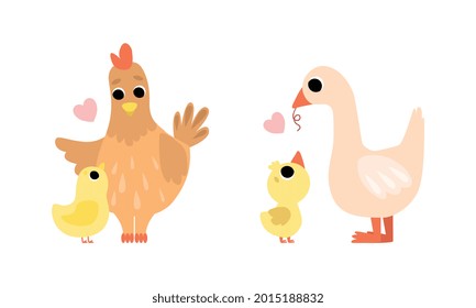 Cute Little Baby Birds and Their Moms Set, Adorable Hen and Goose Poulrty Cartoon Vector Illustration