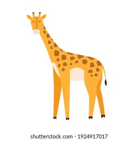 Cute little baby giraffe. Funny smiling African animal. Colored flat cartoon vector illustration of happy childish character isolated on white background