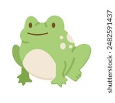 Cute little baby green frog