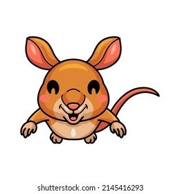 Cute little bandicoot cartoon character