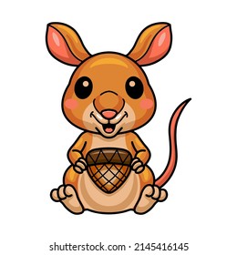 Cute little bandicoot cartoon holding an acorn
