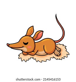 Cute little bandicoot cartoon sleeping