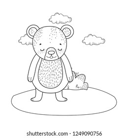 cute little bear in the camp