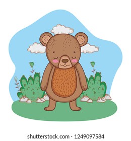 cute little bear in the camp