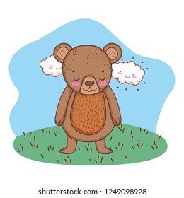cute little bear in the camp