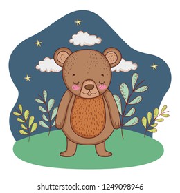 cute little bear in the camp