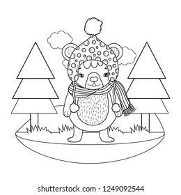 cute little bear with hat in the camp