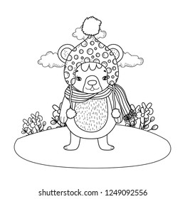 cute little bear with hat in the camp
