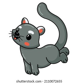 Cute little bearcat cartoon posing
