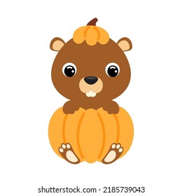 Cute little beaver sitting in a pumpkin. Cartoon animal character for kids t-shirts, nursery decoration, baby shower, greeting card, invitation. Vector stock illustration
