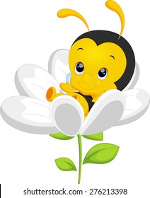 Cute little bee on sunflower