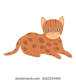 Cute little bengal cat with brown fur and blue eyes relaxing lying down