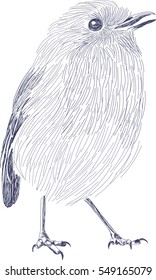 Cute Little bird - Stylized sketch - Vector art