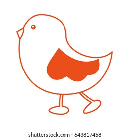 cute little bird walking