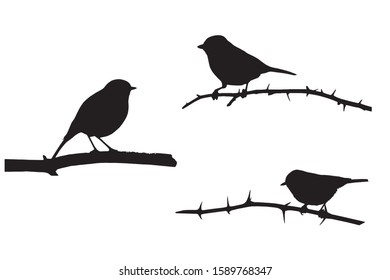 Cute little birds. Vector image. White background.