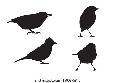 Cute little birds. Vector image. White background. 