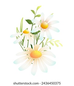 Lindo ramo de margarita o hierba de flor de manzanilla. Elemento floral decorativo botánico para paisajes de primavera y verano. Ilustración de la naturaleza del vector en estilo de la acuarela, clipart aislado.