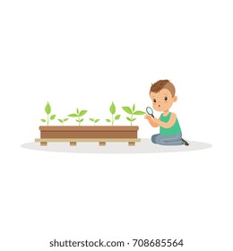 Cute little boy examining plants through a magnifying glass, lesson of botany in kindergarten cartoon vector Illustration